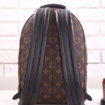 Louis Vuitton Palm Springs Pm M44870 Brown